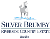 Logo Silver Brumby Riverside Estate